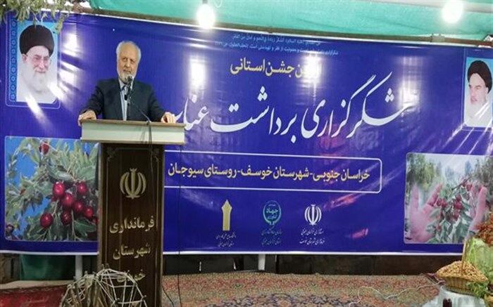 مراکز علمی و پژوهشی در راستای شناسایی خواص طبی و درمانی عناب عمیقاً تلاش کنند