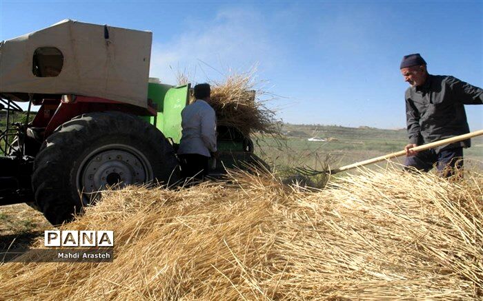 معاون وزارت جهاد کشاورزی : نرخ خرید تضمینی محصولات زراعی به شورای اقتصاد رفت