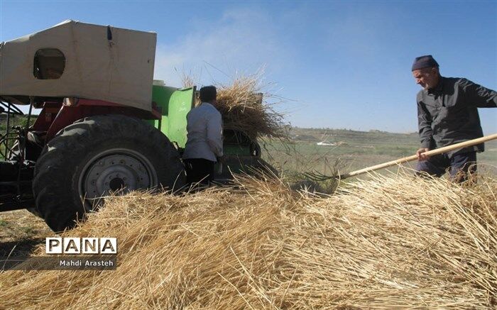 معاون وزارت جهاد کشاورزی : نرخ خرید تضمینی محصولات زراعی به شورای اقتصاد رفت