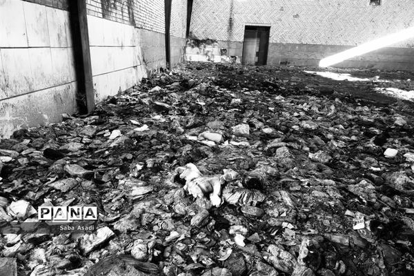 گله دار و سالن ورزشی سوخته