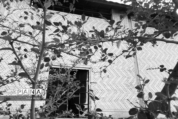 گله دار و سالن ورزشی سوخته