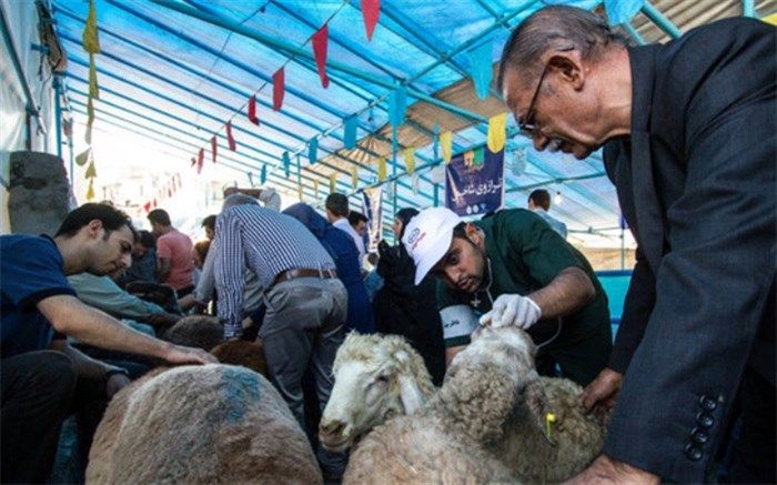 ۳۴ نفر ناظر شرعی بر قربانی‌های تاسوعا و عاشورا نظارت می‌کنند