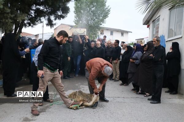 تشییع پیکر شهید گمنام در شهرک فرهنگیان ساری