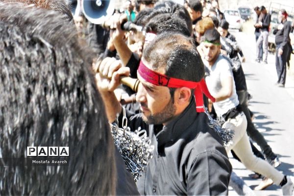 مراسم عزاداری روز تاسوعا حسینی در روستای براندود از توابع شهرستان درمیان