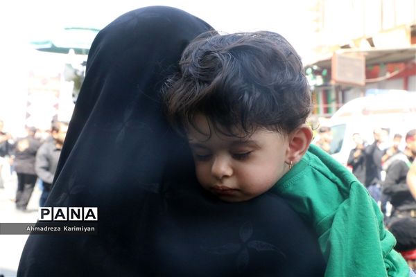 عاشورای حسینی در شهرستان فسا