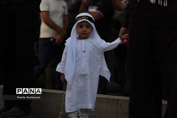 عزاداری روز عاشورا در شیراز