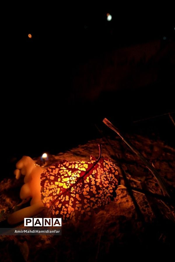 برگزاری مراسم شام غریبان در شهرستان بیرجند