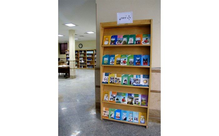 مدیرکل کتابخانه های عمومی اعلام کرد: راه‌اندازی بخش نوسوادان در 17 کتابخانه عمومی استان قم