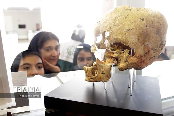 بازدید دانش آموزان از موزه ملی ایران