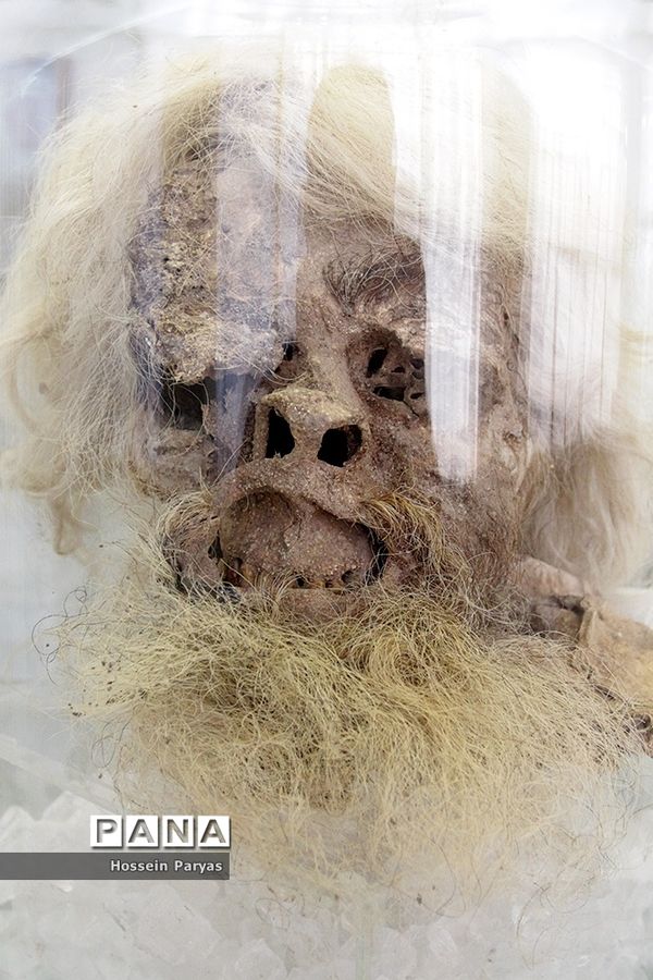 بازدید دانش آموزان از موزه ملی ایران