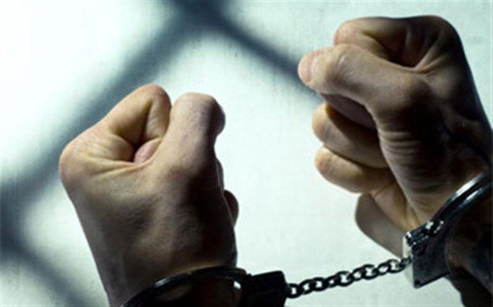 رئیس کل دادگستری فارس اعلام کرد: دستگیری 35 نفر از برهم زنندگان نظم و امنیت در فارس