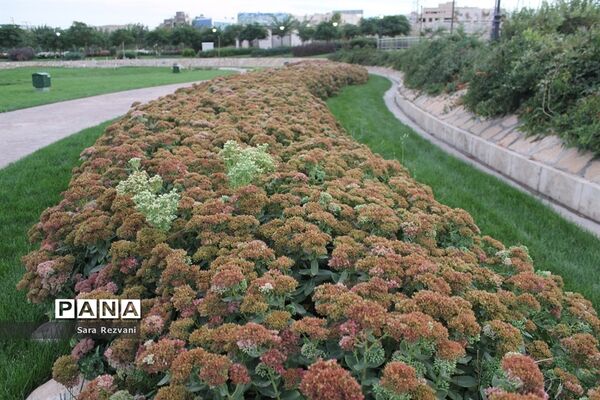 پارک مینیاتور مشهدمقدس