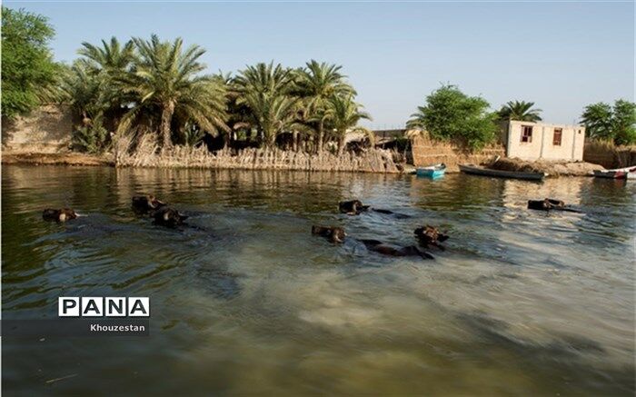 آخرین مراحل پروژه انتقال آب از رودخانه کارون به تالاب بین المللی شادگان