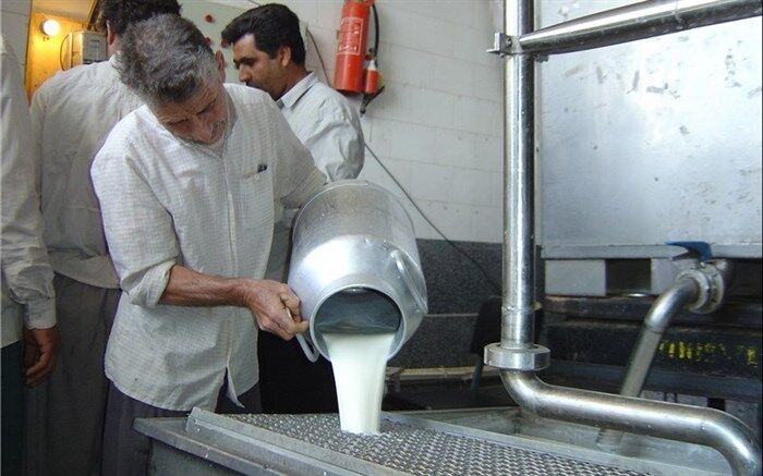 مدیرکل مرکز اصلاح نژاد دام  وزارت جهاد کشاورزی:‌ تولید شیر کاهش نیافته است