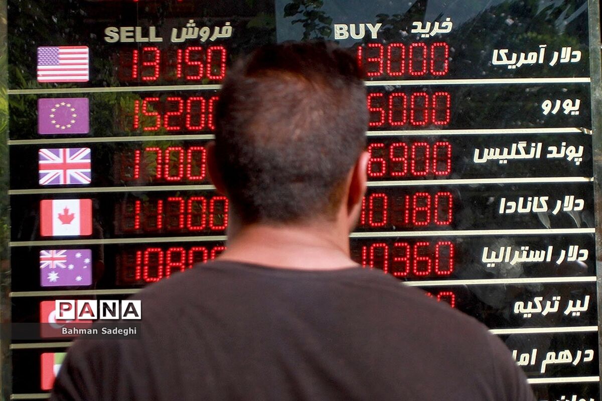 کارشناس مسائل اقتصادی :‌ خرید ارز نباید در قیمت‌های هیجانی انجام شود
