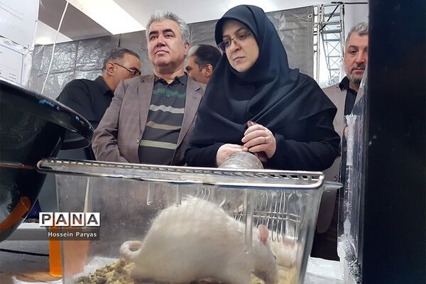 اختتامیه سومین کارسوق ملی «علوم اعصاب شناختی»