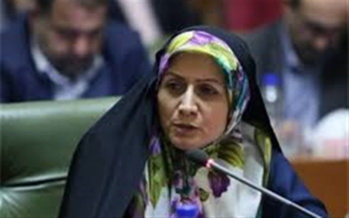 امانی ،عضو شورای شهر:  تاسیسات شهری در اثر بی‌توجهی در معرض آسیب قرار گرفتند