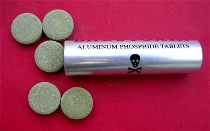 افزایش فوتی‌های ناشی از مصرف قرص برنج