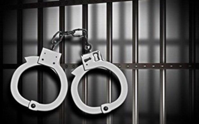 همسر مدیرعامل «سکه ثامن» در فرودگاه تبریز دستگیر شد