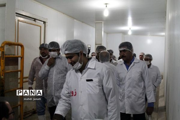 بازدید خبرنگاران از کشتارگاه صنعتی مرغ بهاران