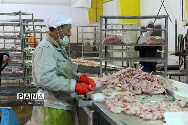 بازدید خبرنگاران از کشتارگاه صنعتی مرغ بهاران