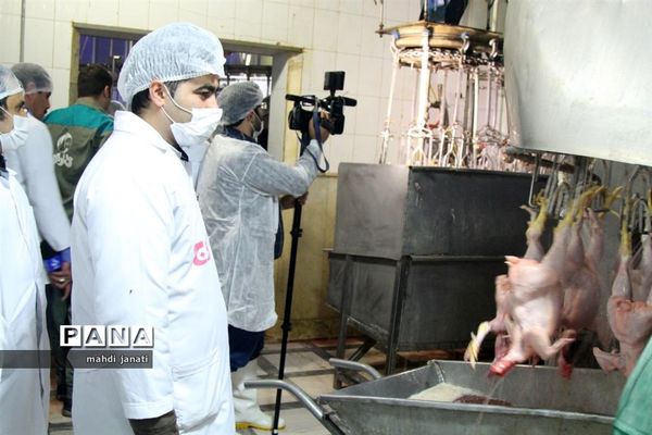 بازدید خبرنگاران از کشتارگاه صنعتی مرغ بهاران