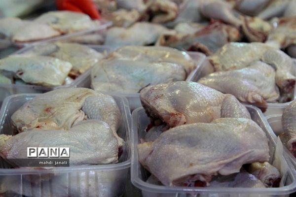 بازدید خبرنگاران از کشتارگاه صنعتی مرغ بهاران