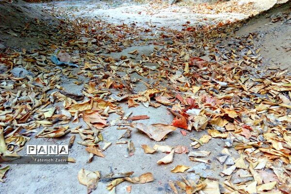طبیعت پاییزی لامِرد فارس