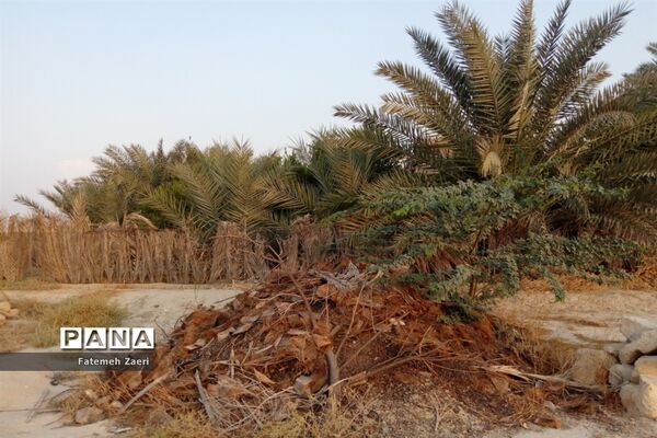 طبیعت پاییزی لامِرد فارس