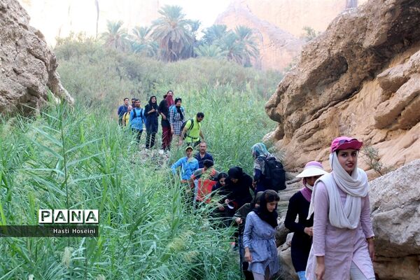 همایش پیاده‌روی به مناسبت هفته سلامت در تنگ آوشیرینو دارالمیزان