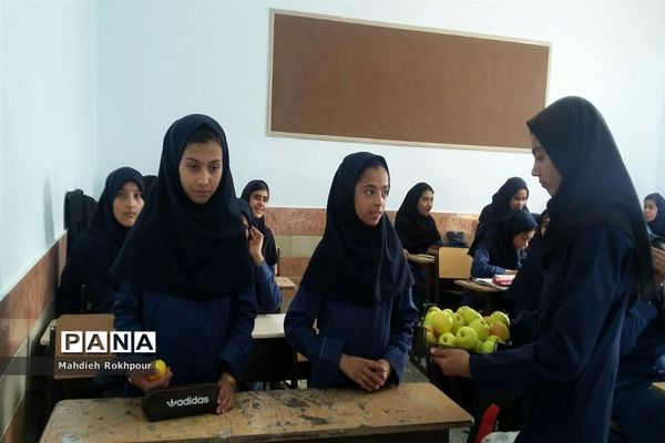 برگزاری جشنواره غذای سالم دردبیرستان فخرالزمان قریب