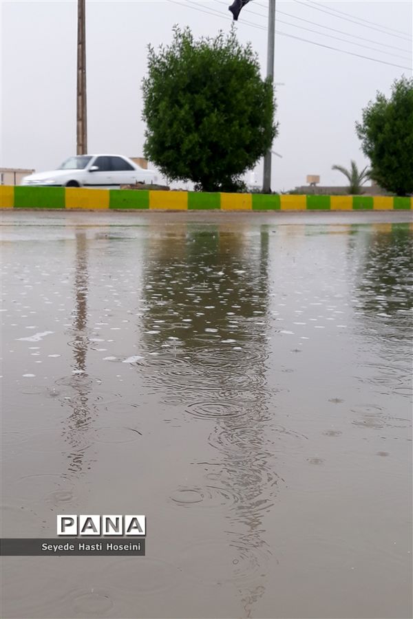 طراوت باران پاییزی در گله دار