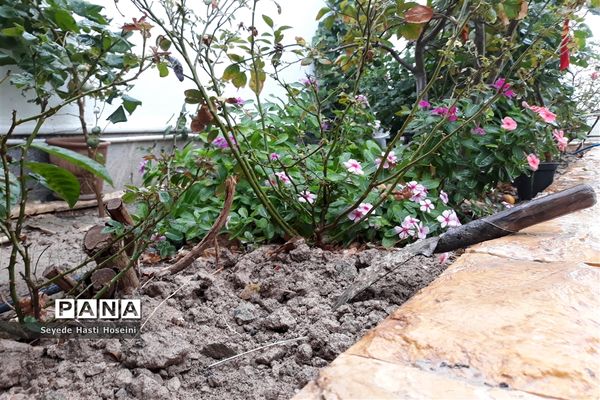 طراوت باران پاییزی در گله دار