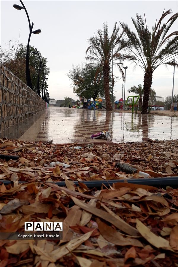 طراوت باران پاییزی در گله دار