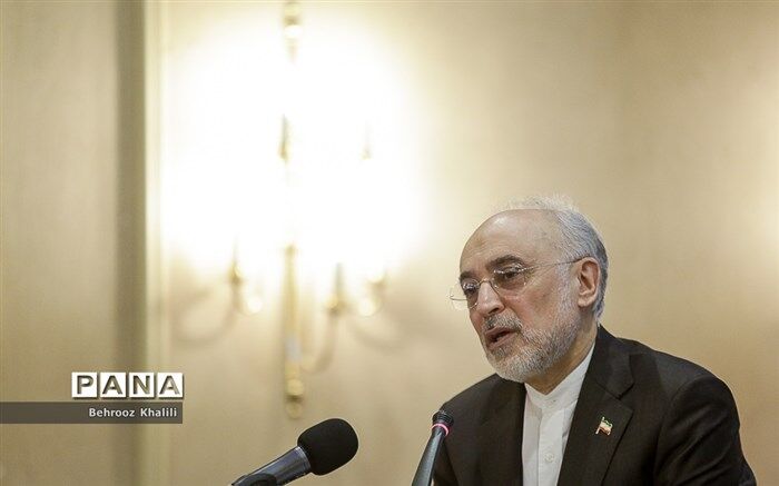 علی اکبر صالحی: انسان با درایت و هوشمندی و استقامت می‌تواند از سختی‌ها عبور کند