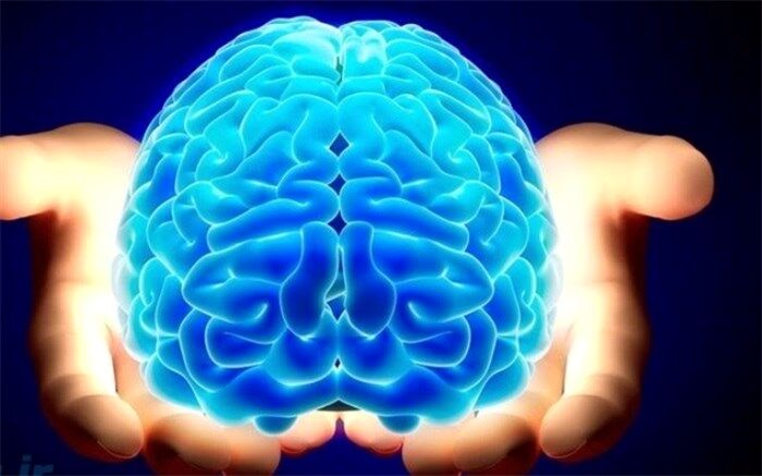 هوش مصنوعی کجای زندگی ما را تغییر می‌دهد؟