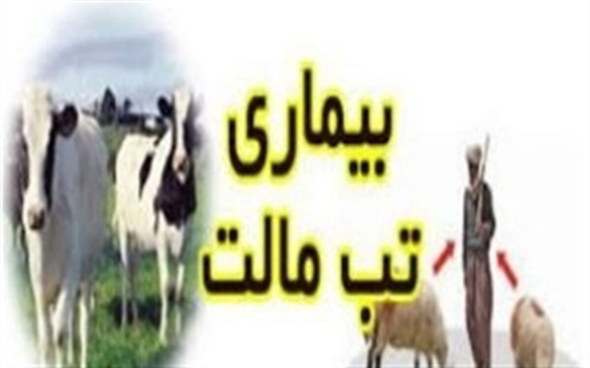 هشدار در خصوص تب مالت