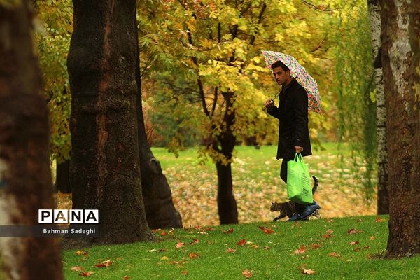 بارش باران پاییزی در تهران