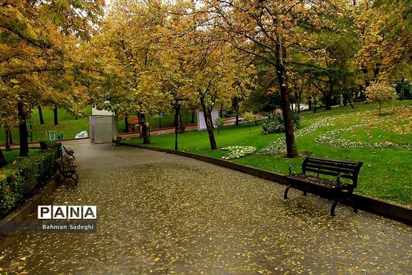 بارش باران پاییزی در تهران