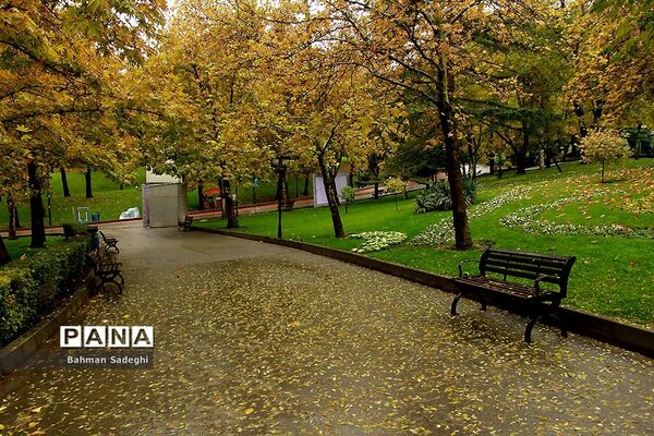 بارش باران پاییزی در تهران