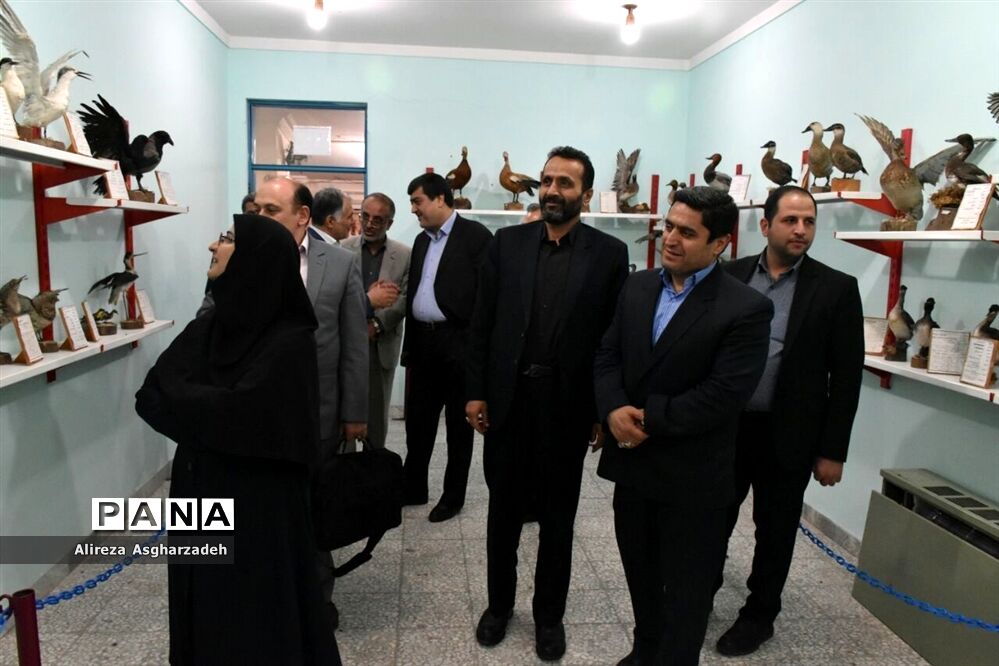 بازدید معاون آموزش ابتدایی وزارت آموزش‌وپرورش از کانون فجر بابلسر