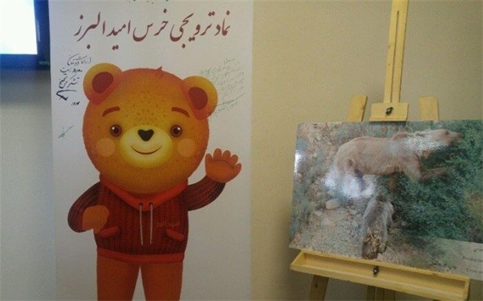 رونمایی از نماد امید البرز و سامانه هشدار سریع بیماری های حیات وحش