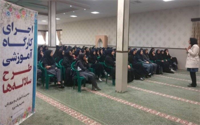 برگزاری اولین کارگاه آموزشی طرح سلاله ها در ناحیه یک