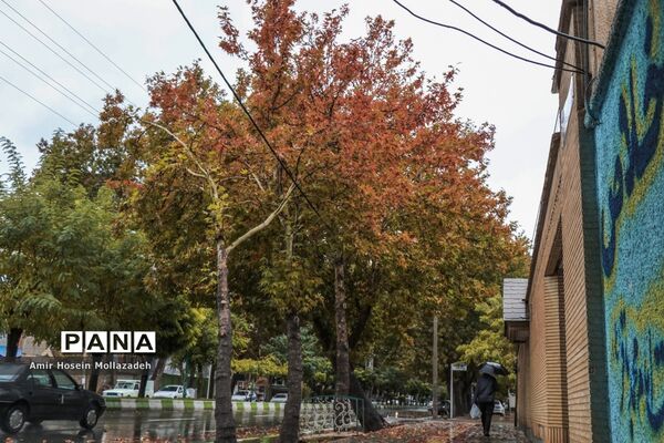 روز های بارانیِ پاییز ارومیه