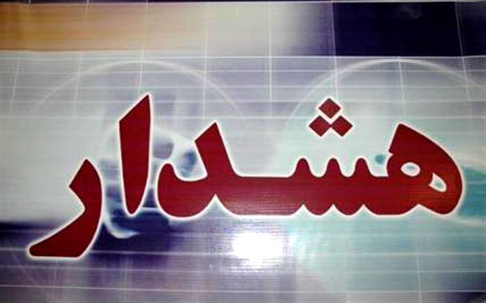 هشدار پلیس در خصوص سرقت گوشی تلفن‌همراه در استادیوم