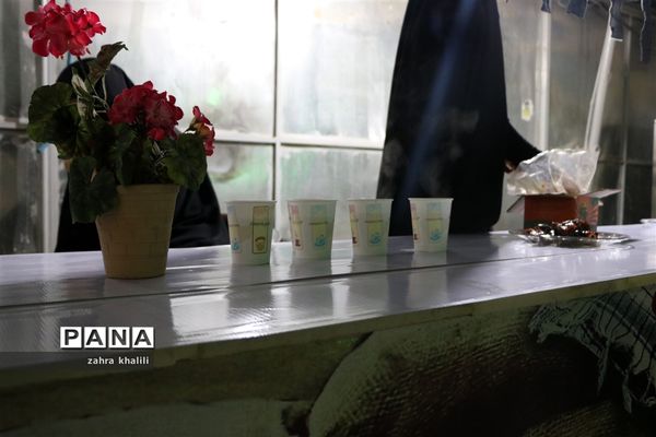 دختران سرزمین نور