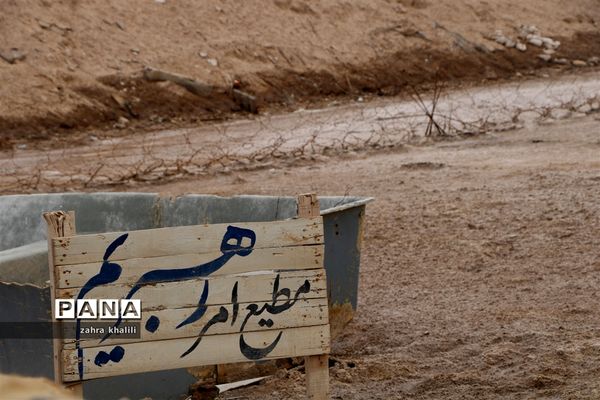 دختران سرزمین نور