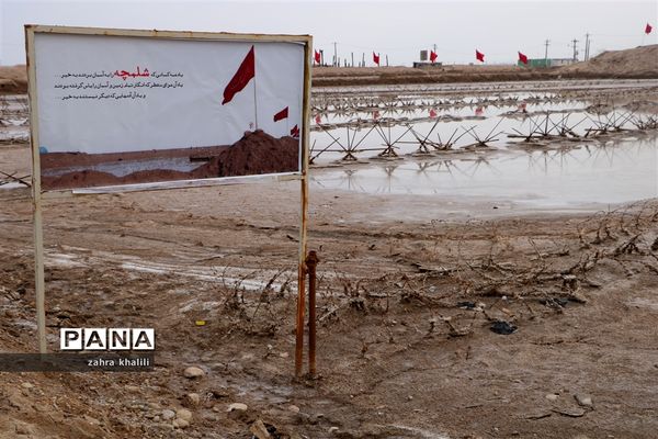 دختران سرزمین نور