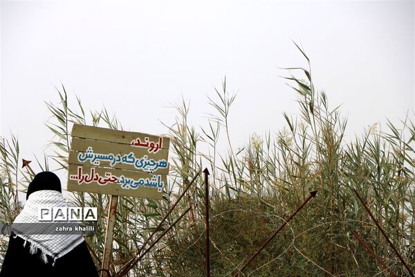 دختران سرزمین نور