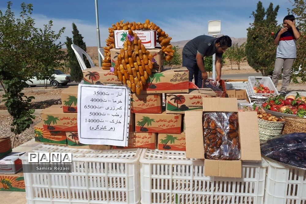 برگزاری نخستین جشنواره انار و خرمای شهر خاوران